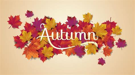 Autumn Typography Greeting Card 662928 Vector Art At Vecteezy