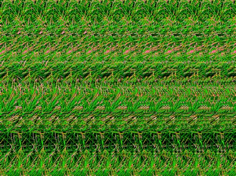 The Best Stereogram Pictures Ever Epflchcarlenstereograms
