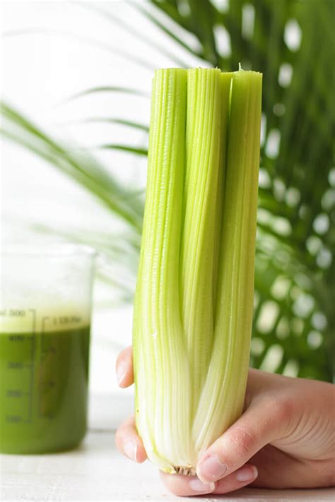 celery juice benefits health blender juicer recipes methods easy main