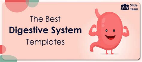 The Digestive System In 17 Powerpoint Templates Free Pdf Attached