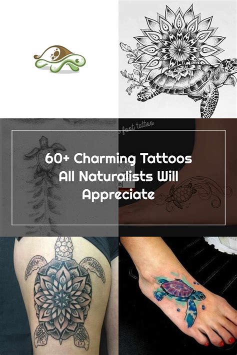 Turtle Tattoos Naturalist Geometric Tattoo Appreciation Pins