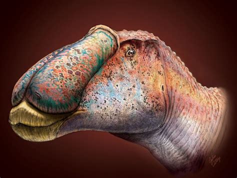 Prosaurolophus Maximus Duck Billed Dinosaur Fossil Discovery Reveals New Details About Its