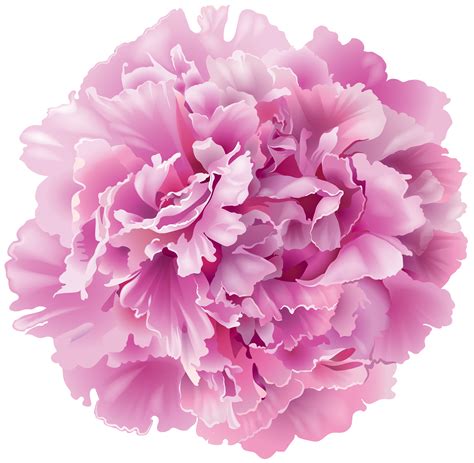Artificial peony silk flowers fake faux peony bouquets flowers for wedding party bridal home decoration table centerpieces (purple, 4 bouquets) 4.5 out of 5 stars 474 $15.99 $ 15. Peony Transparent PNG Clip Art Image | Gallery ...