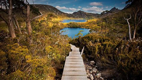 摇篮山 圣克莱尔湖国家公园，澳大利亚塔斯马尼亚州 © Paparwin Tanupatarachaigetty Images