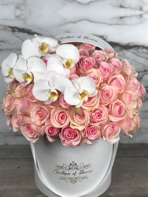 Check spelling or type a new query. light pink rose with orchid round box - Flower Delivery ...