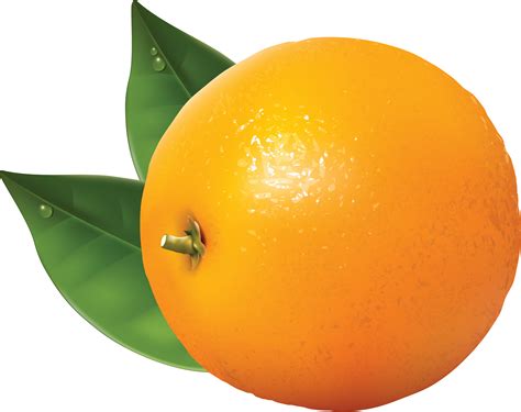 Free Orange Clipart Png Download Free Orange Clipart Png Png Images