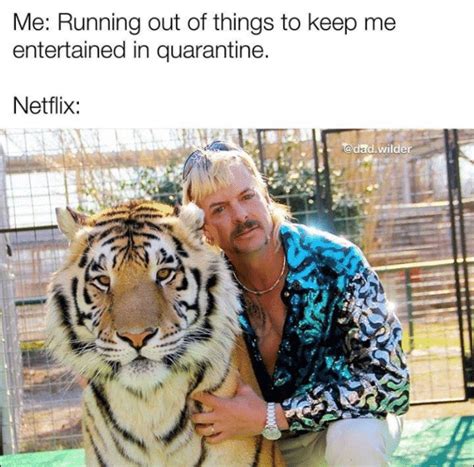 Best Reactions To Tiger King Memes Designbump