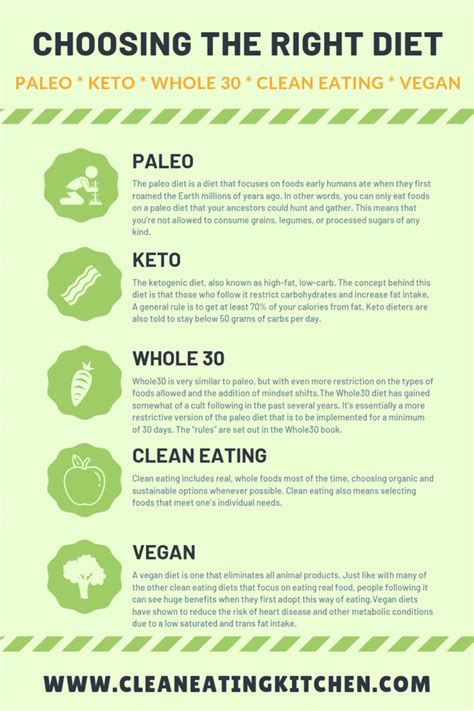 Choosing Between Paleo Keto Whole30 Vegan And Clean Eating Diets