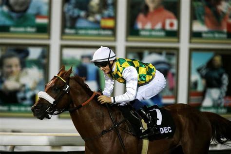 Hh Presidents Cup At Abu Dhabi Equestrian Club Is One Of Biggest