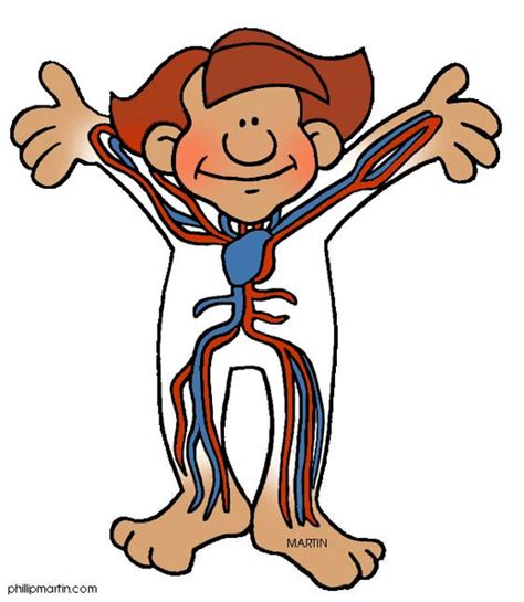 Clipart Of The Human Body Free Images At Vector Clip Art