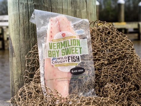 Sounds like you are talking about cooking one large fish. Recipe: Vermilion Bay Black Drum Sauté | Louisiana Direct ...