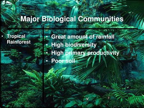 PPT Ch 17 Biological Communities PowerPoint Presentation Free