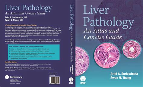 Liver Pathology Liver Pathology An Atlas And Concise Guide Book