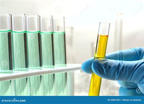 Laboratory Test Tubes In Science Research Lab Royalty Free Stock Images