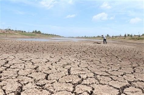 Drought Saltwater Dry Up Mekong Delta’s Largest Reservoir Vietnam Water Portal