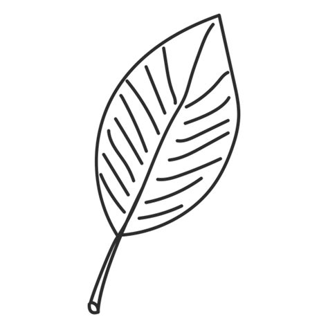 Leaf Sketch Transparent Png And Svg Vector File