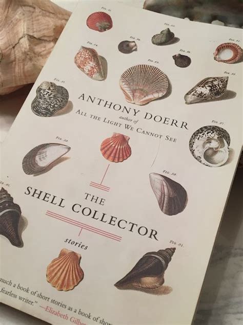 Book Review The Shell Collector Stories All The Lights We Cannot