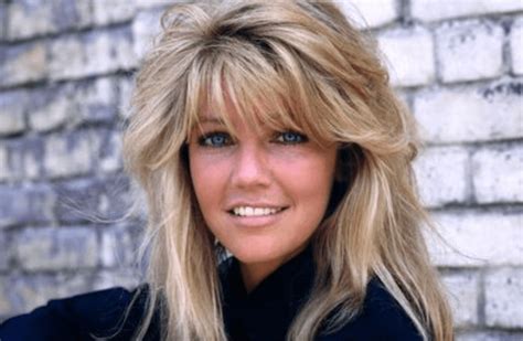 All You Need To Know About American Actress Heather Locklear