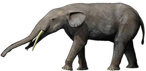 Welder Elephant Liera Speculative Evolution Wiki Fandom