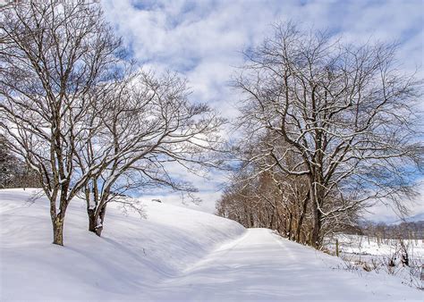 Great Smoky Mountains Nc Winter Road Photograph By Robert