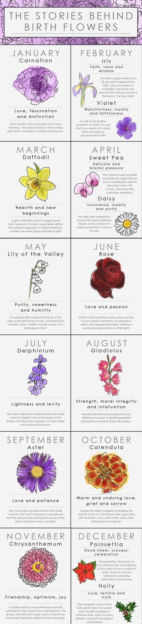 Birth Flower Chart Find Out The Meaning For Your Life Birth Flowers