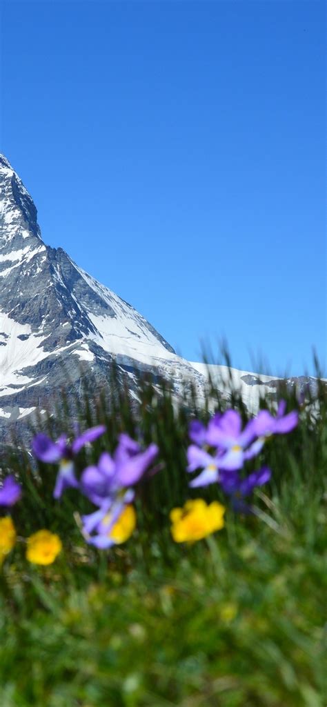 1242x2688 Switzerland Matterhorn Alps Iphone Xs Max Wallpaper Hd