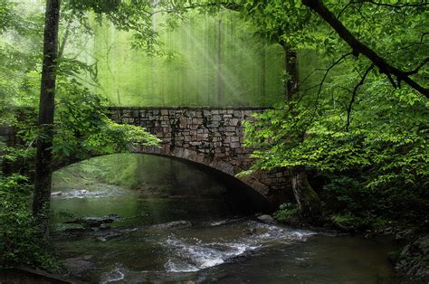 Stone Bridge In The Forest Photograph By Derek Winters