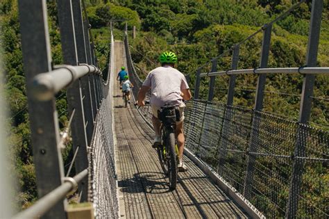 Supported Cycle Day Trips — Cycle Remutaka