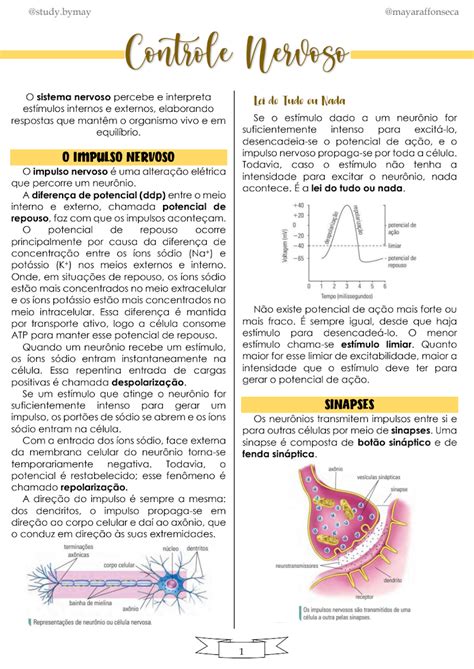 Biologia Google Drive Areas Da Biologia Resumos Enem Planos De My XXX