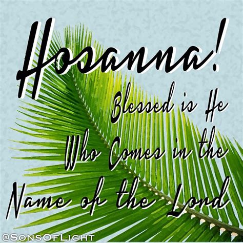 Took Branches Of Palm “hosanna ‘blessed Is He Who Comes In The Name Of