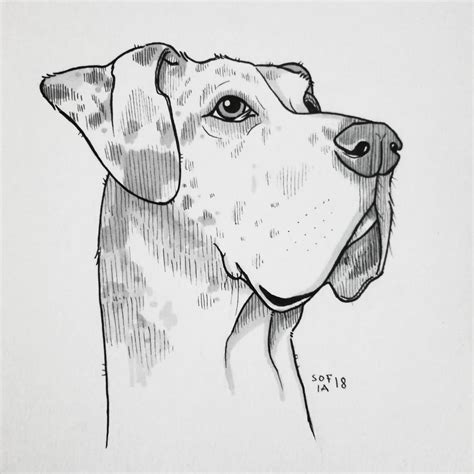 You should also give your animals cute, rounded ears, as well as tiny narrow legs. 30 dog drawing | Dog drawing, Animal drawings, Great dane