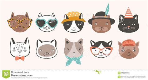 Collection Of Cute Funny Cat Faces Or Heads Wearing