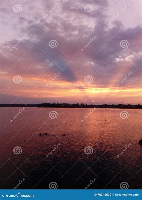 Lake Ducks Sunset Stock Photo Image Of Sunset Lake 76340522