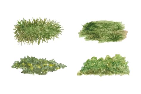 Premium Vector Hand Painted Watercolor Green Grass Bushes Collection