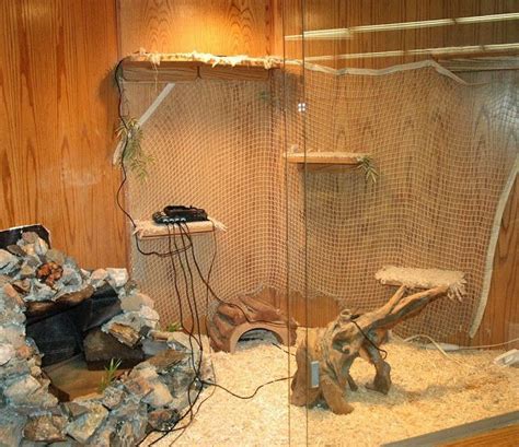 Best 25 Iguana Cage Ideas On Snake Enclosure By Best 25 Iguana Cage