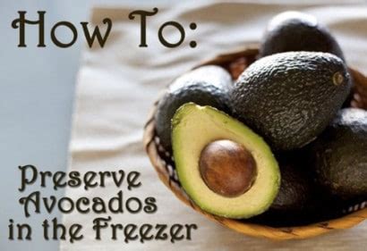 Learn how to preserve avocados in the freezer so you can have affordable avocado all year long. How To Preserve Avocados In The Freezer - Homestead & Survival