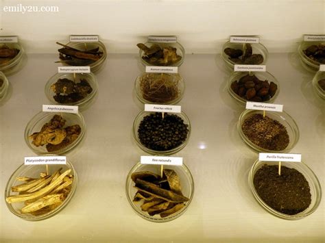 Here in herbal you won't find any caffeine. Ho Yan Hor Museum, Ipoh | From Emily To You