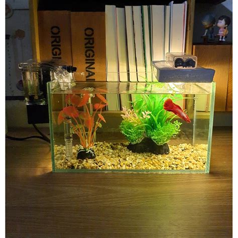 bể cá mini 24 cm với 6 món bể cá sỏi nền máy lọc cây nhựa vừa cây nhựa mini đèn led đom