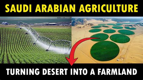 How Saudi Arabia Transformed Desert Into Agricultural Farmland