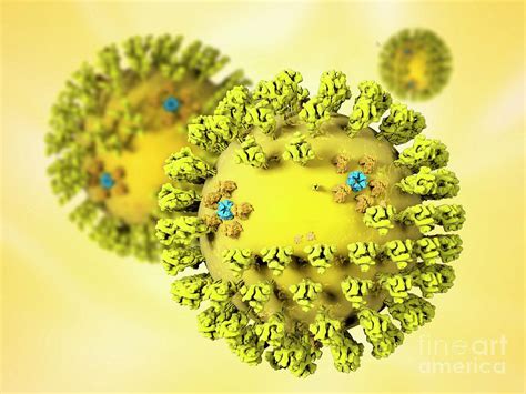 Sars Virus Particles Photograph By Ramon Andrade 3dcienciascience