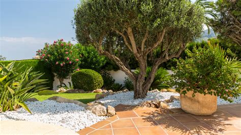 Mediterranean Garden Ideas Gorgeous Ways To Plant And Style Your