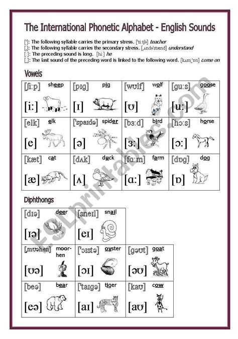 Beautiful Childrens Phonetic Alphabet Trace The Lines Worksheets