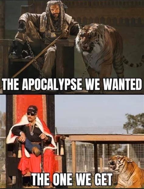 Pin On Tiger King Memes