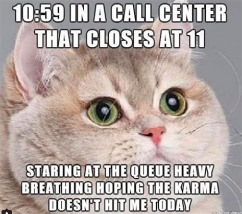 The cat call, having held for some minutes contact centre reports, surveys and white papers. Call Center Memes Download | Heavy breathing cat meme ...