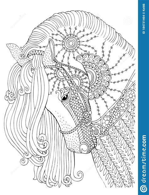 Beautiful Horse Head Adult Coloring Page Stock Vector Illustration