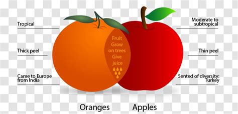Apples And Oranges Food Fruit Venn Diagram Reading Writing Thinking