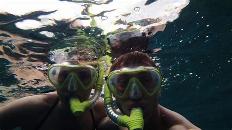 Snorkeling In Montego Bay Jamaica Youtube