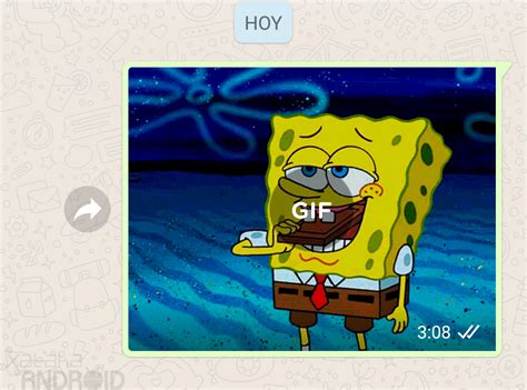 Maybe you would like to learn more about one of these? ¿Cómo crear, buscar y enviar un GIF en WhatsApp?