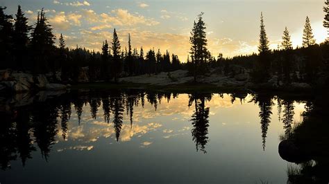 Spruce Lake Trees Reflection Forest Hd Wallpaper Peakpx