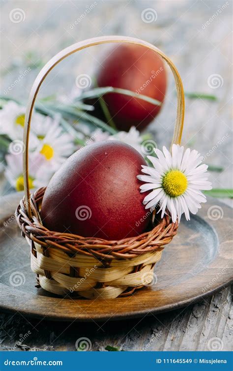 Easter Eggs And Daisy Flower Stock Image Image Of Life Decoration